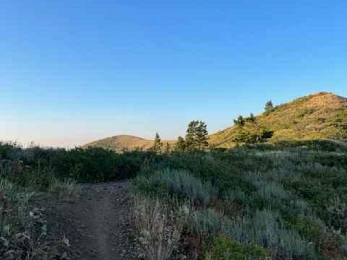Lewis Peak (6041) photo 6