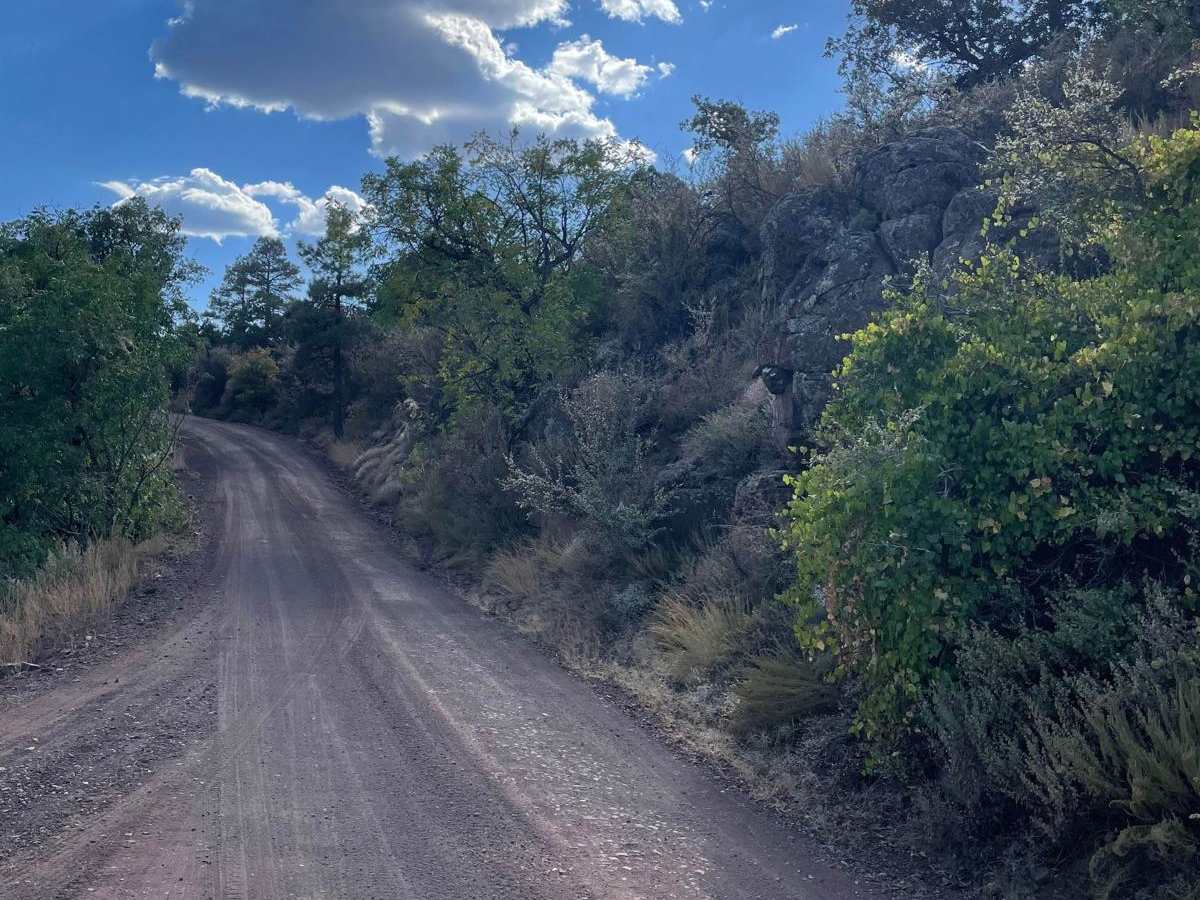 Stoneman Lake Access Road photo 4