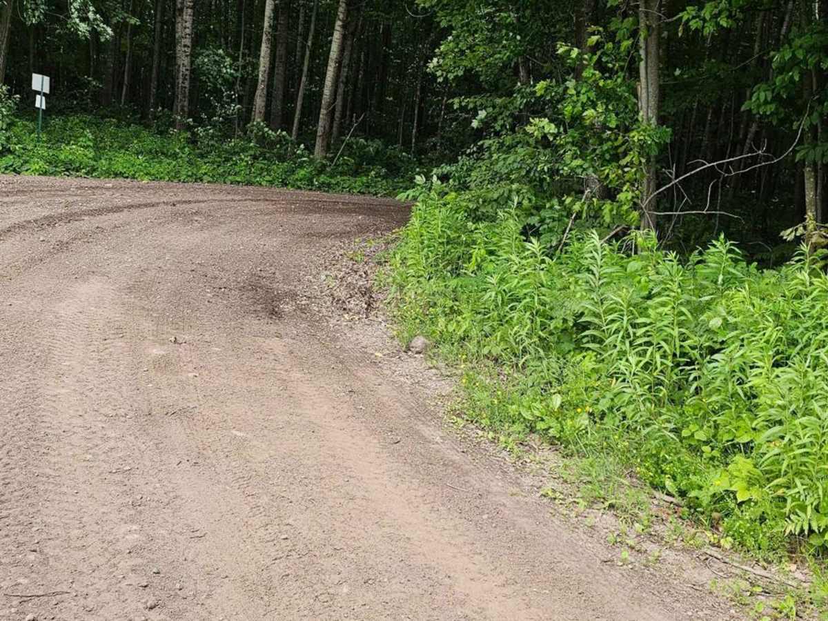 Bloomer County Forest Trail photo 6