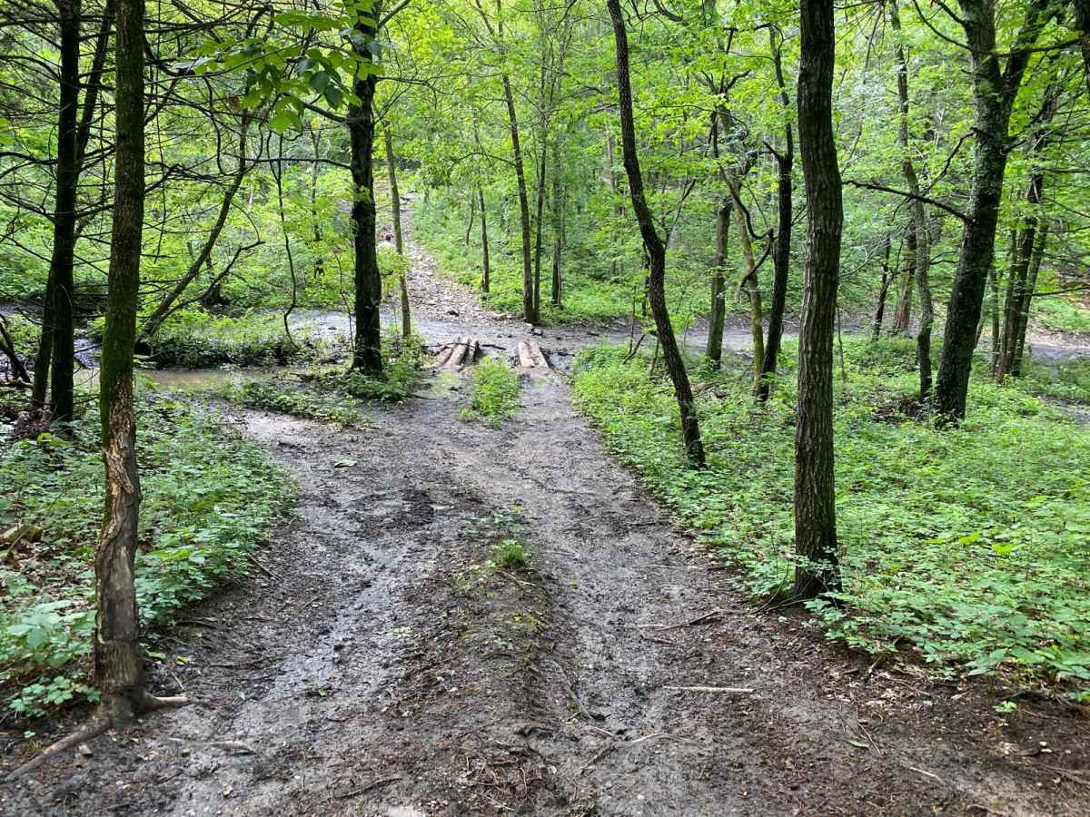 Bridge Trail trail photo
