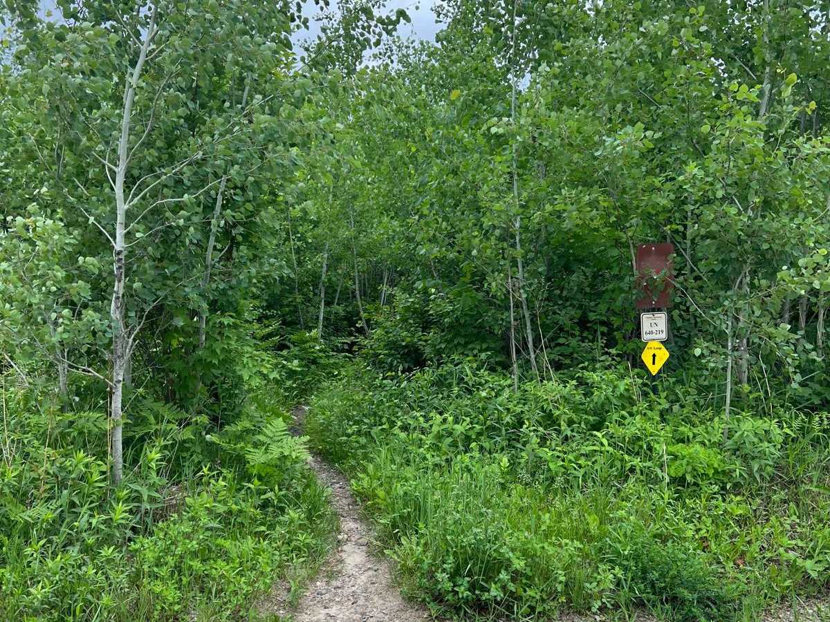 Paul Bunyan NW Loop Part 2 trail photo