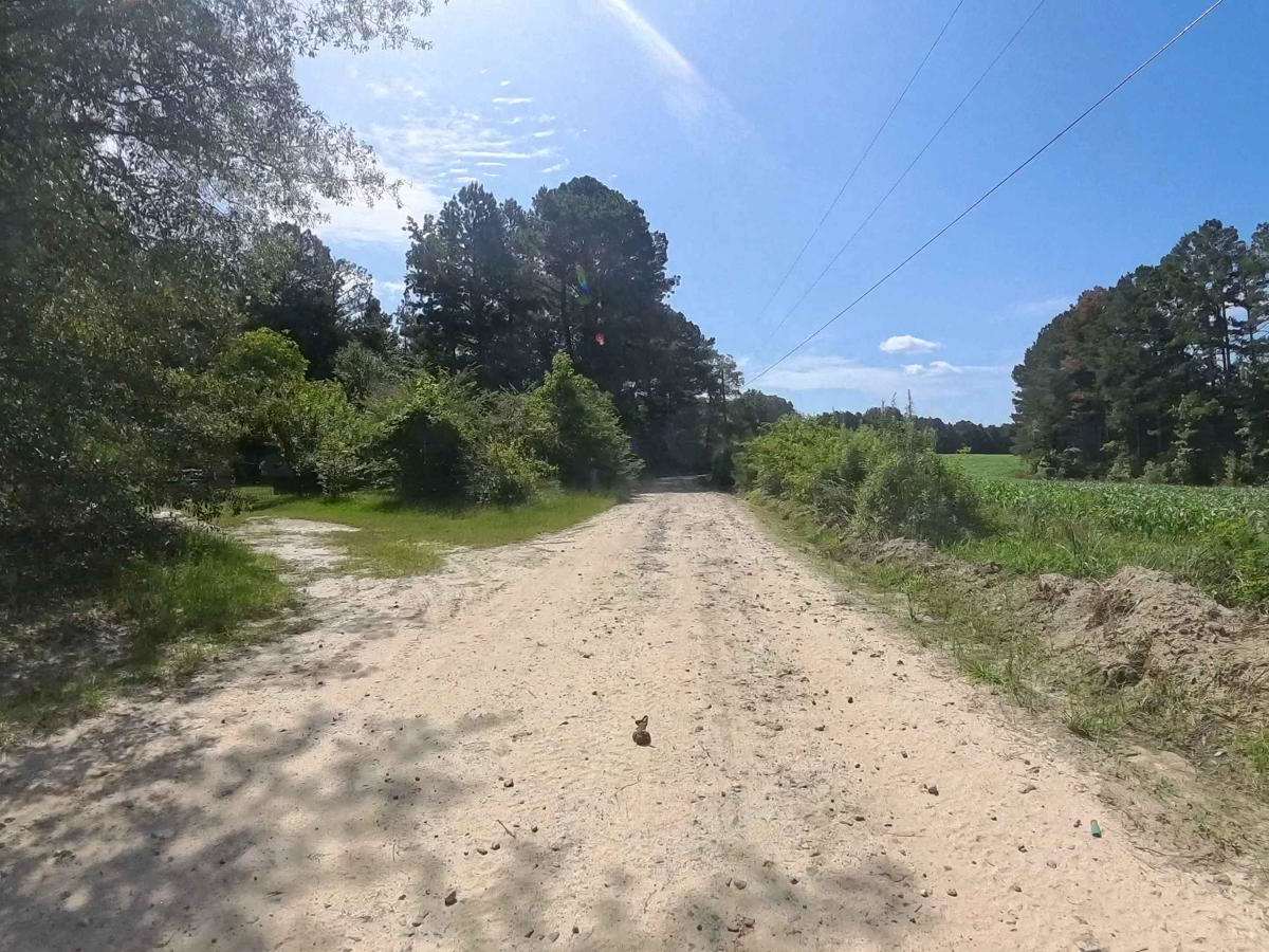 Moss Road photo 4
