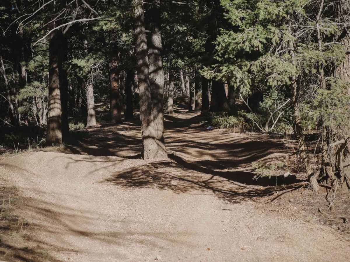 682 Overlook ATV Trail photo 3