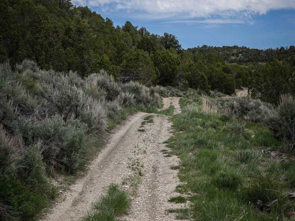 Indian Creek to Willow Creek Ridge ATV photo 6