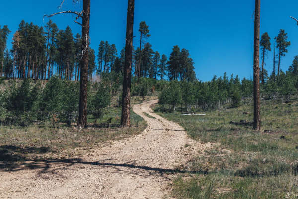 212/The Burned Hill