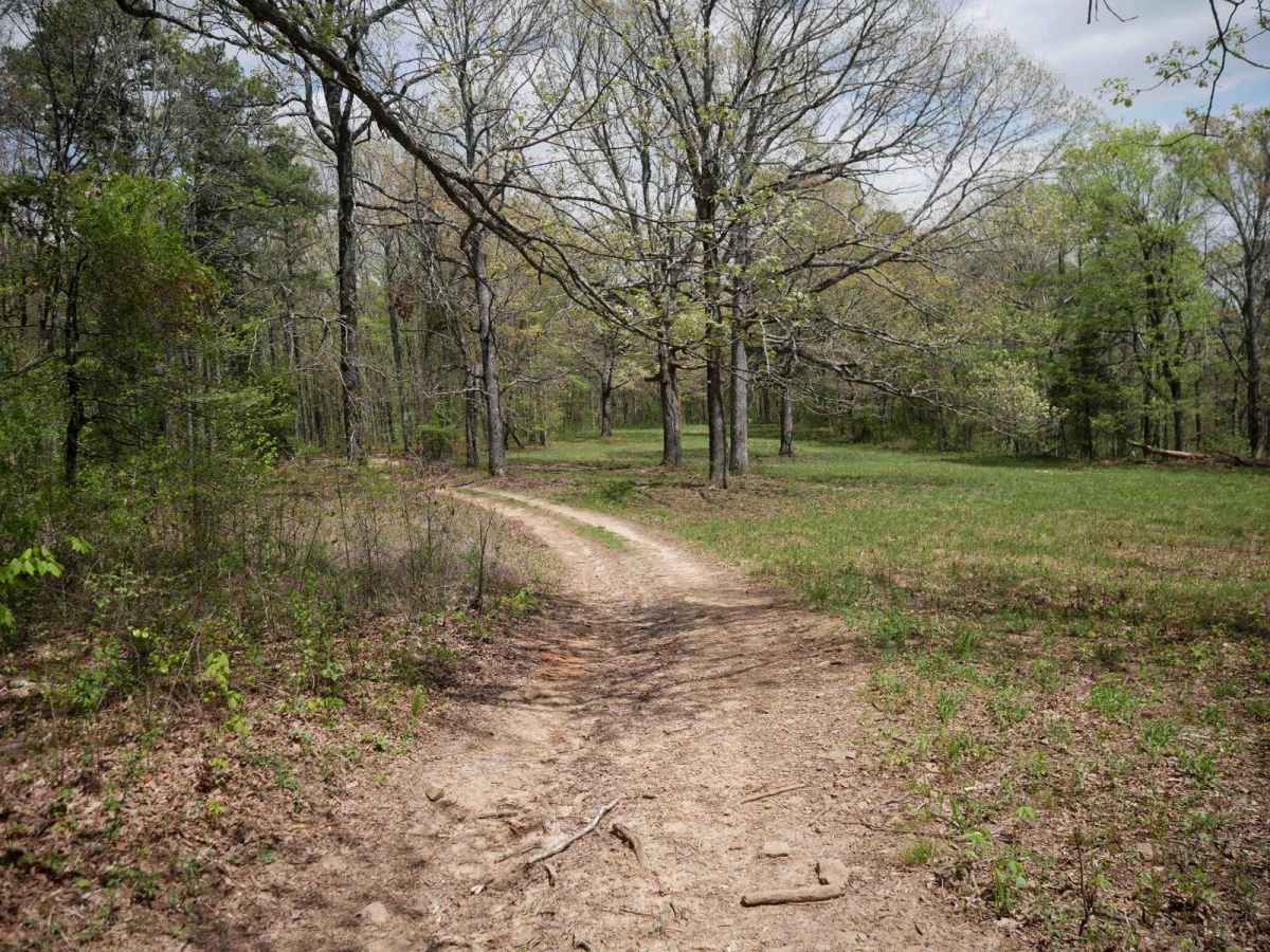 Black Oak Ridge photo 6