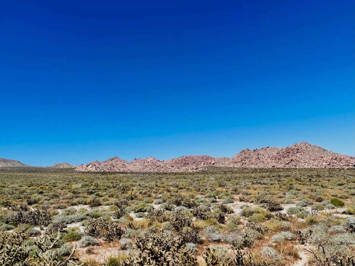Jojoba Canyon photo 3