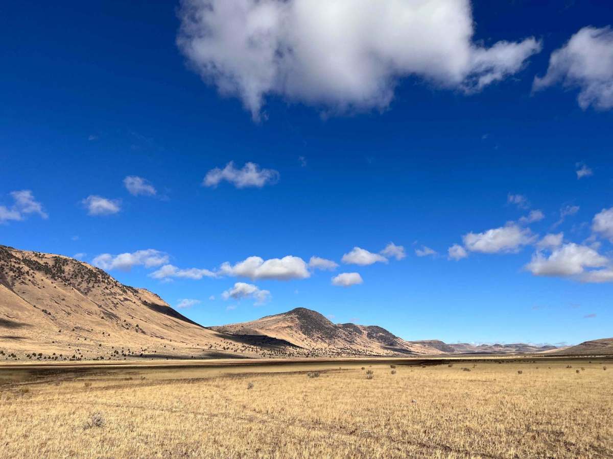 Burnt Flat Road trail photo