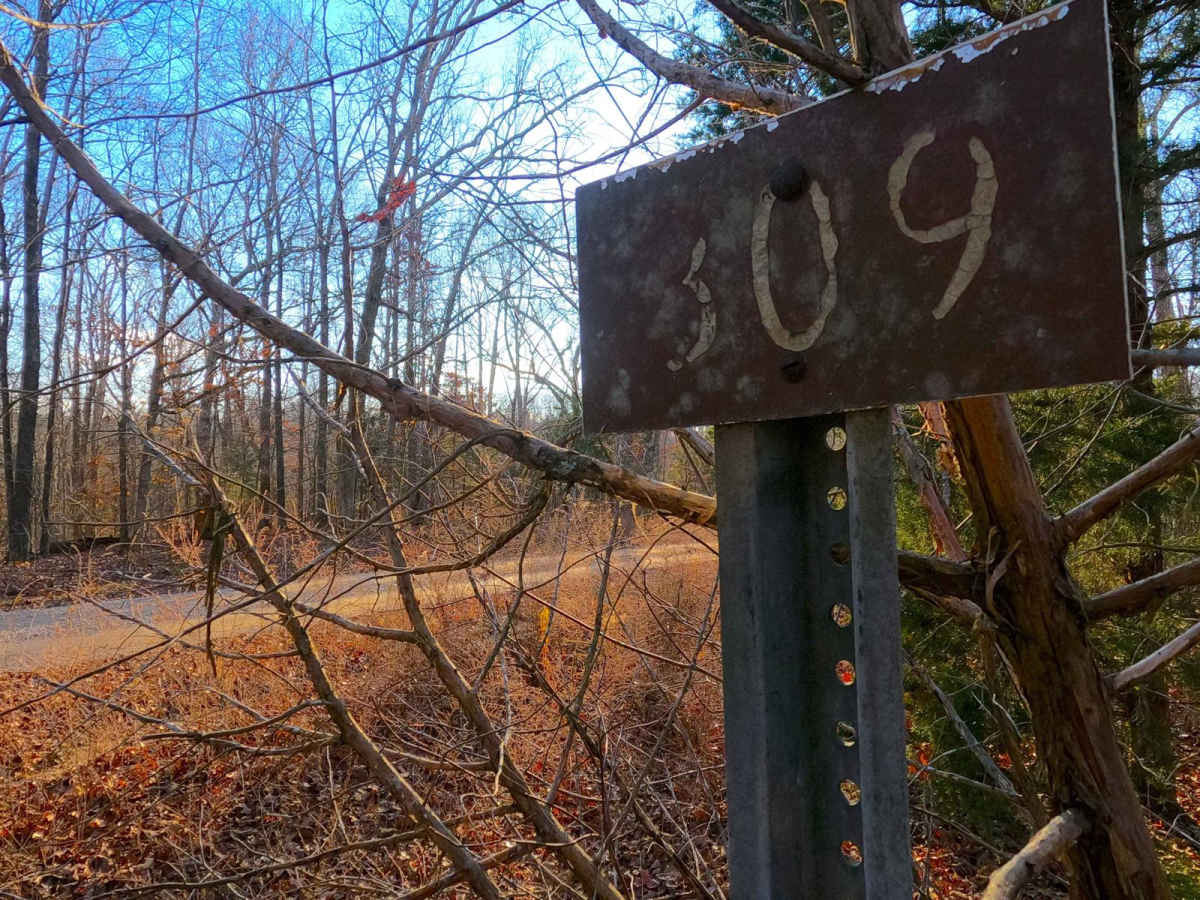 Fulk Cemetery Road - FS 309 trail photo