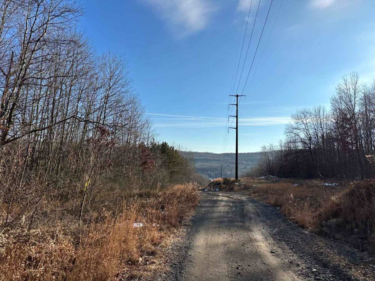 Locust Gap 69 photo 3