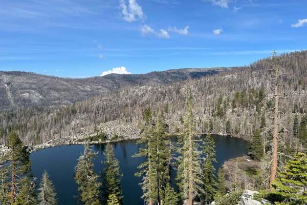 Cody Lake