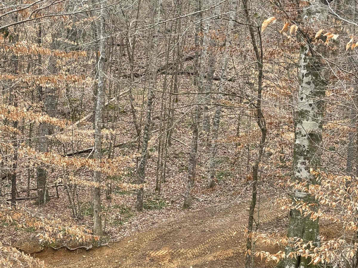 406B photo 3