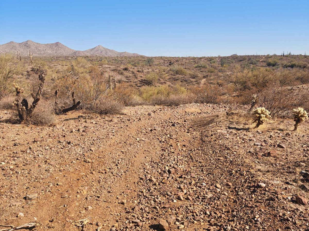 32137 - Single Track trail photo