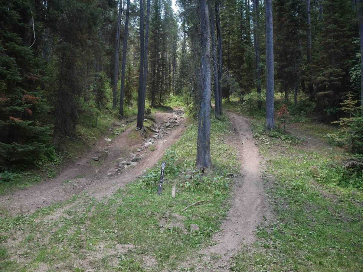 Henderson Cutoff trail photo
