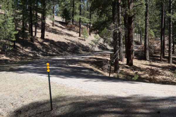 Jacques Canyon FSR-719