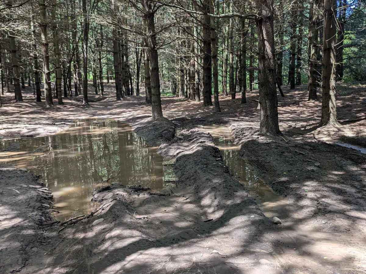 Border Trail Part 2 photo 2