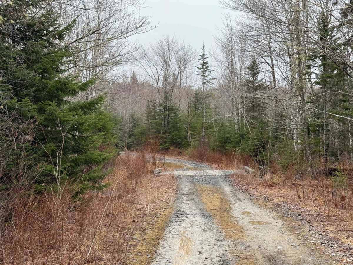 Kavanough Road photo 4