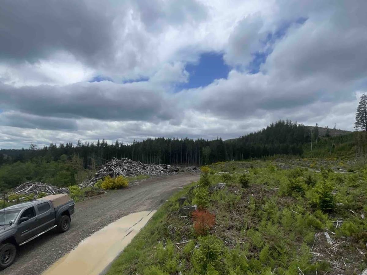 Gunner Lake Mainline photo 3