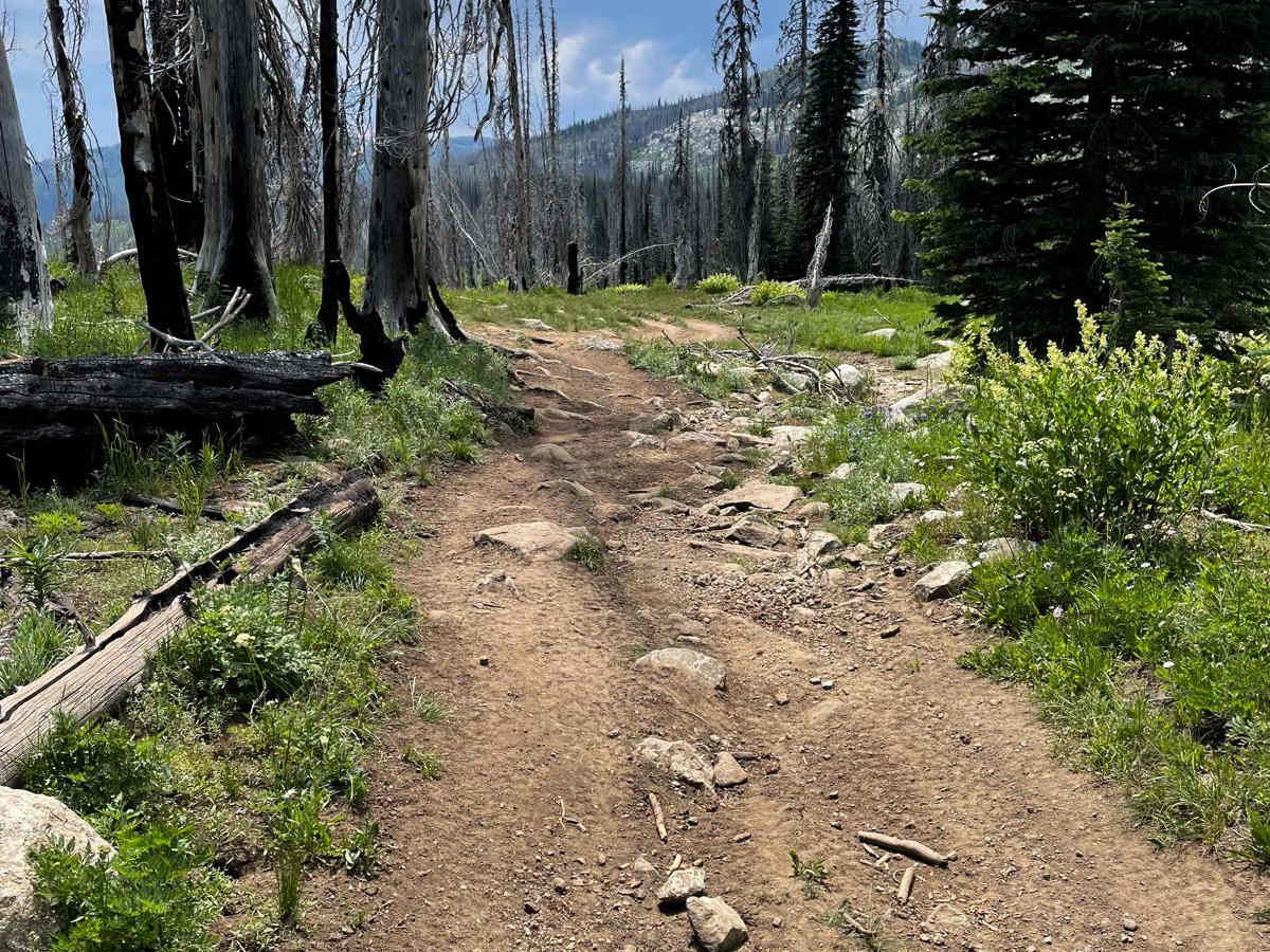 Hard Butte ATV photo 4