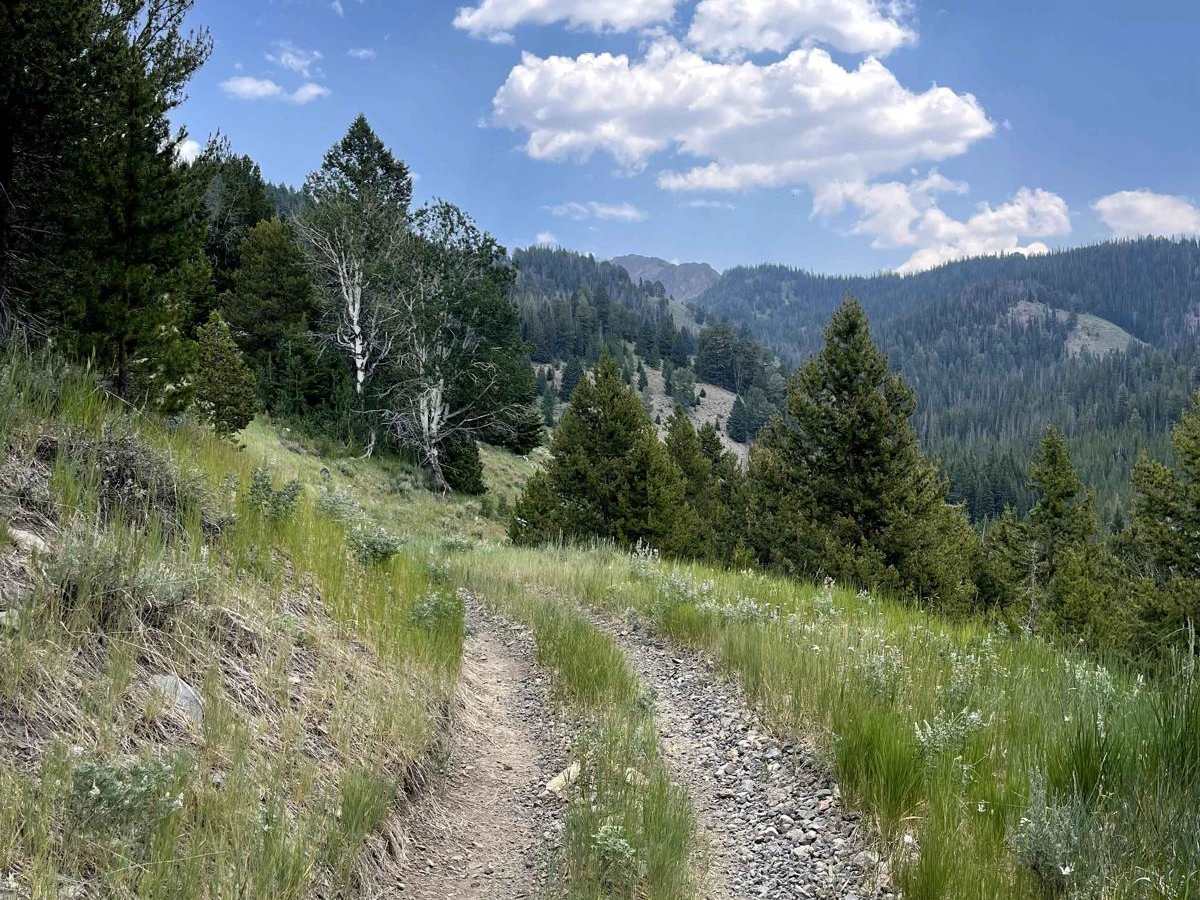Rainbow Creek ATV photo 4