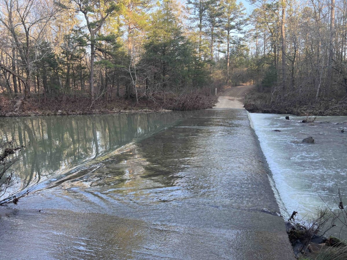 Sims Fiddler Creek 274 trail photo