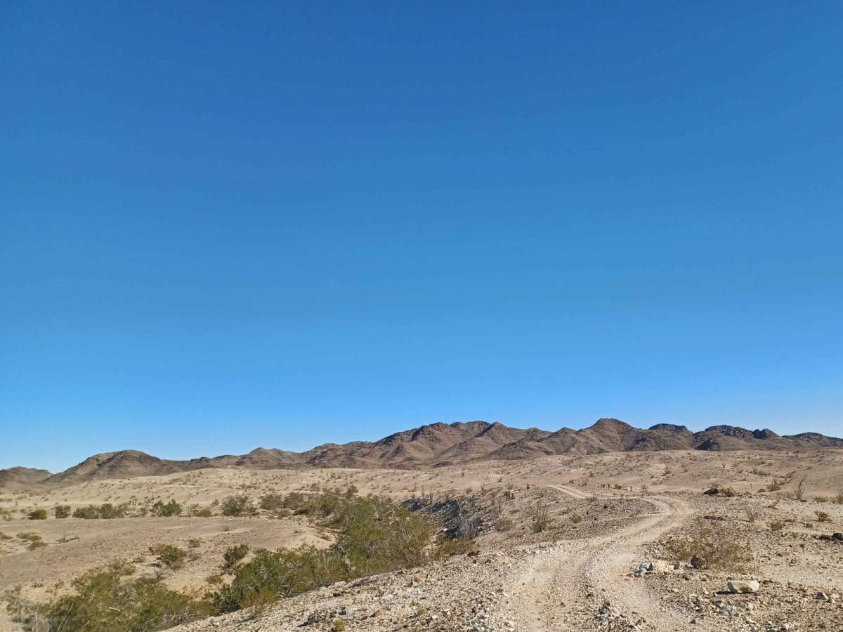 Remote photo 5