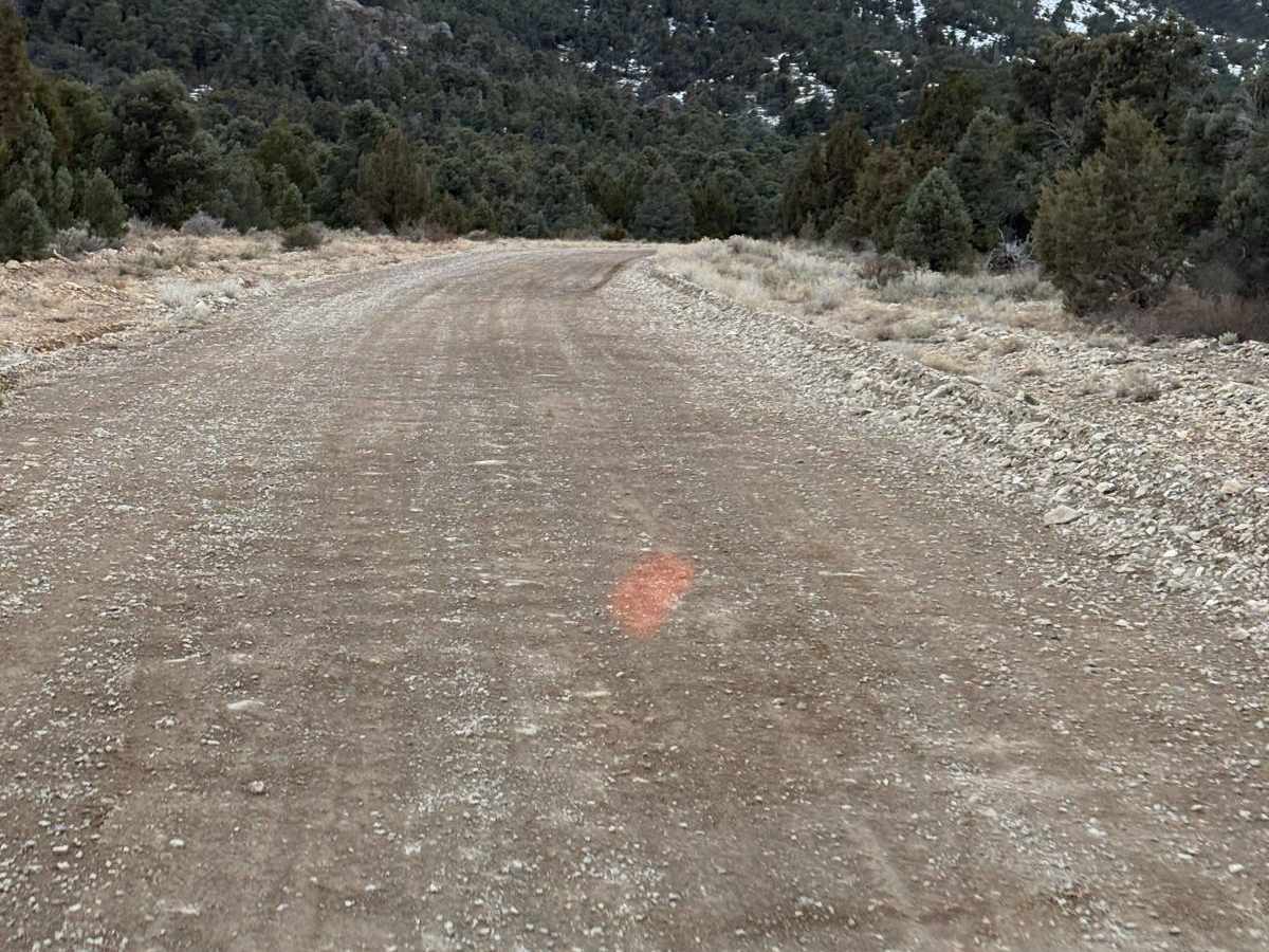 Patterson Pass photo 3
