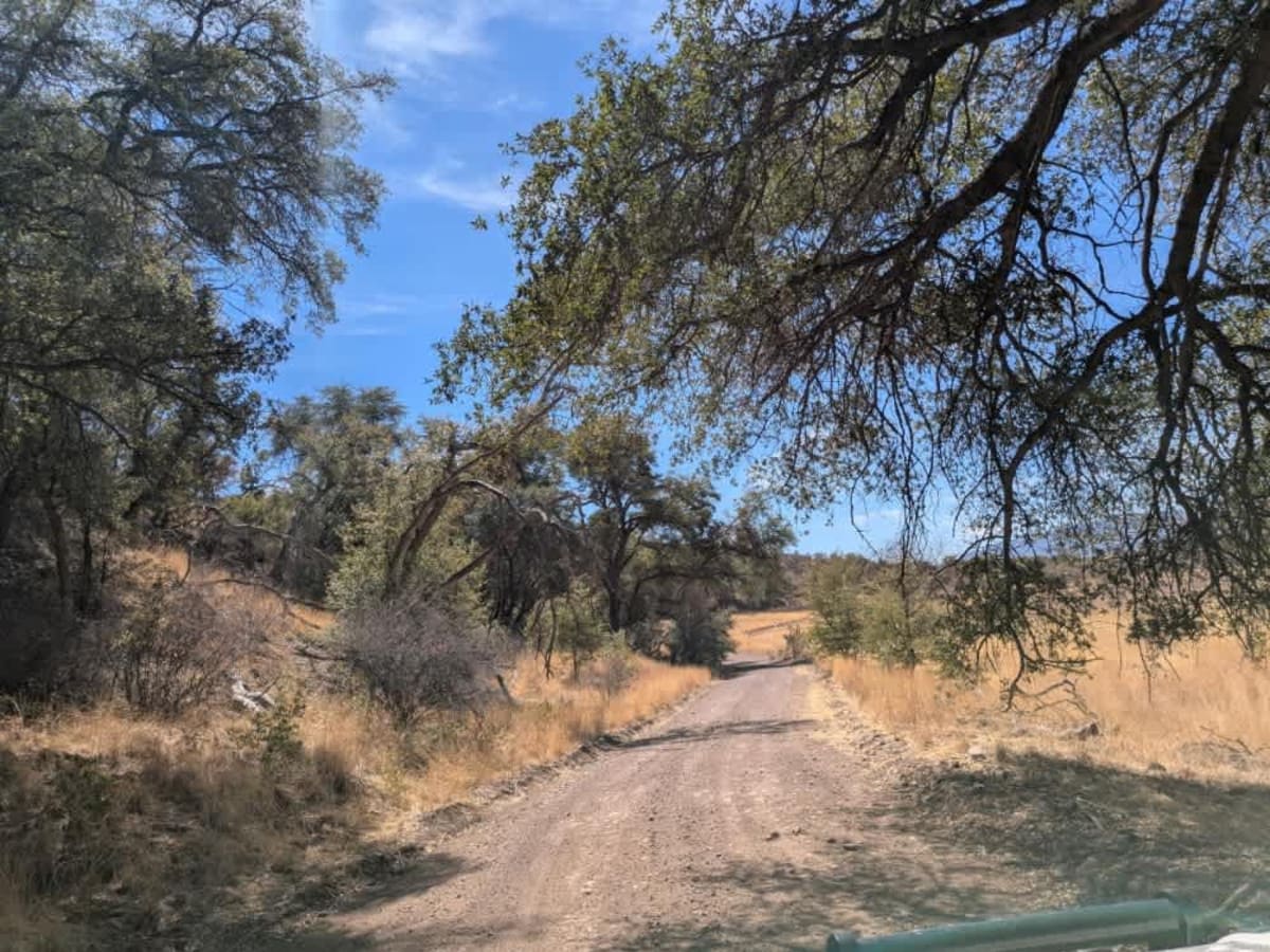Parker Road photo 2