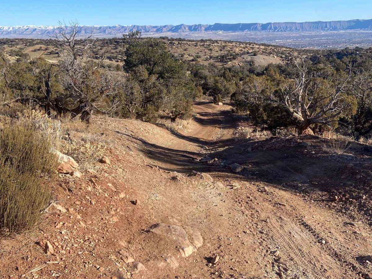 Billings Canyon Road trail photo