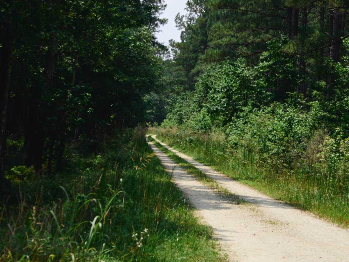 Hell Hole Bay Wilderness - FSR 158 photo 2