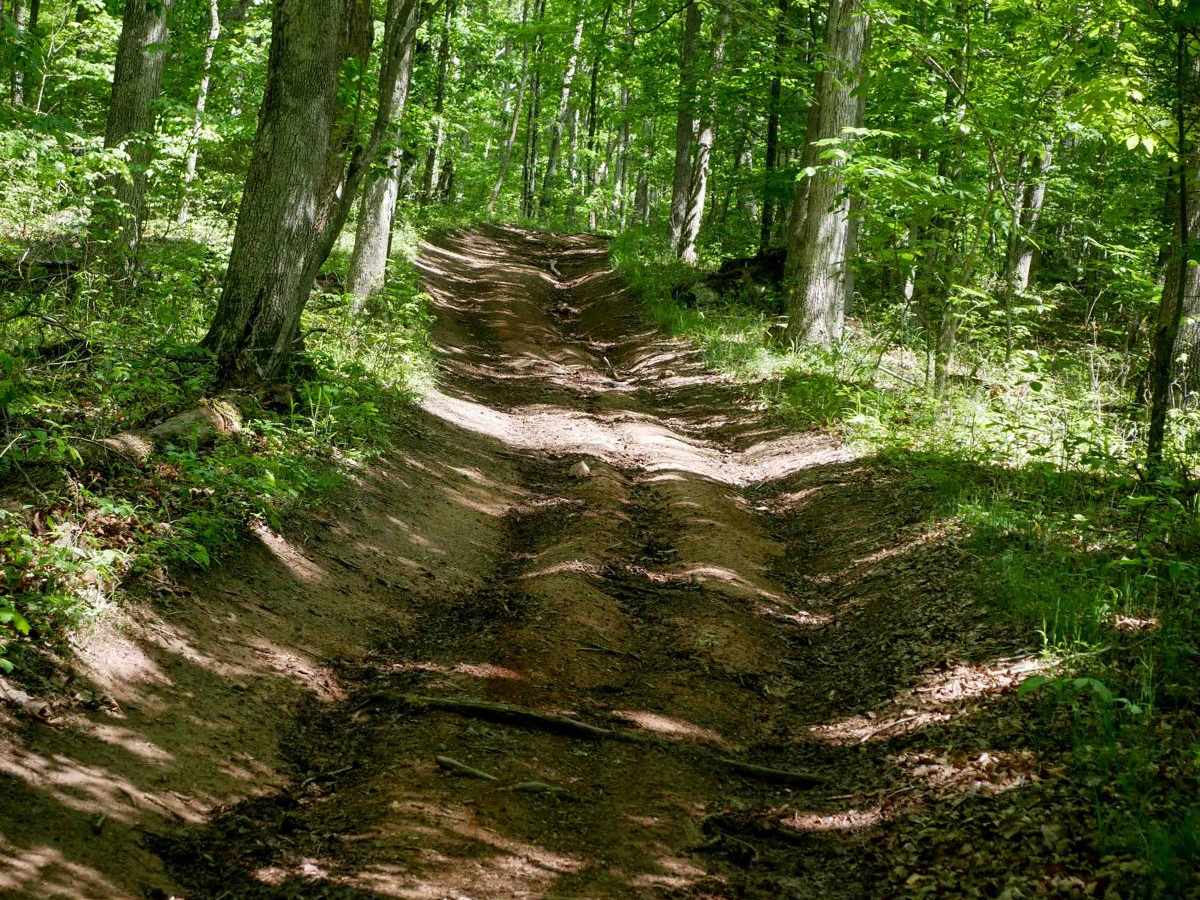 Trail 5 photo 2