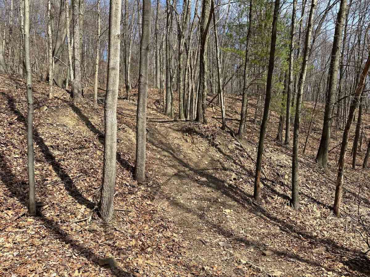 Ashland 14 trail photo