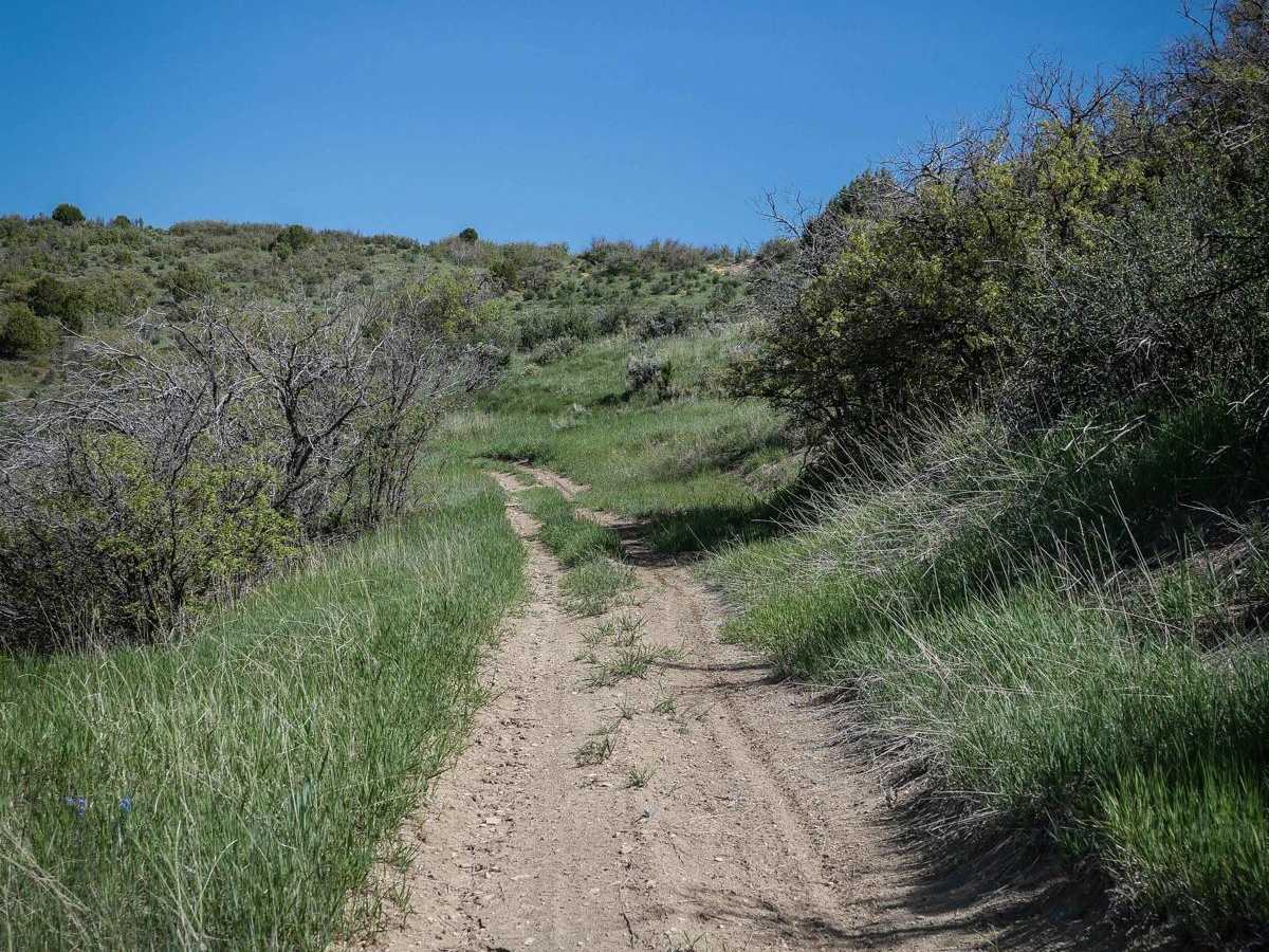 Sheep Creek Connector ATV Trail photo 3