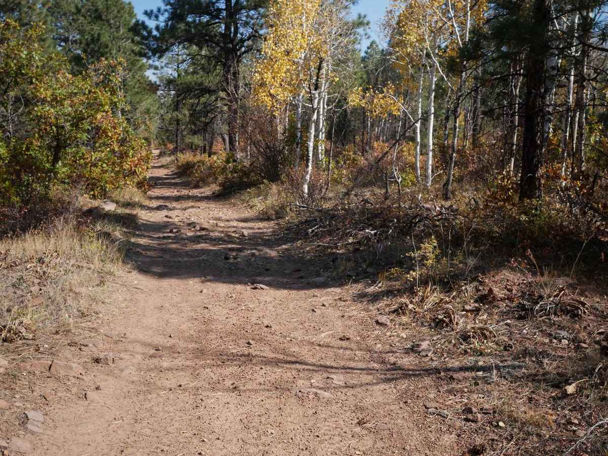 Spring Creek Spur A ATV Trail photo 6
