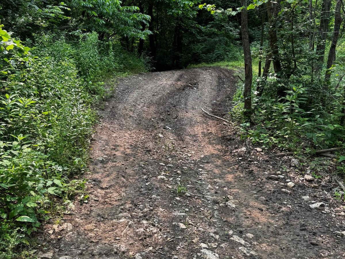 Green 56 trail photo