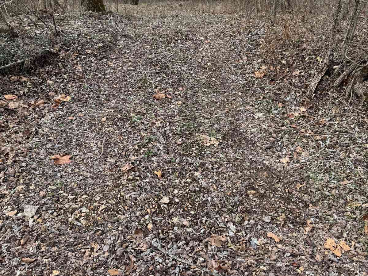 Green 340 trail photo