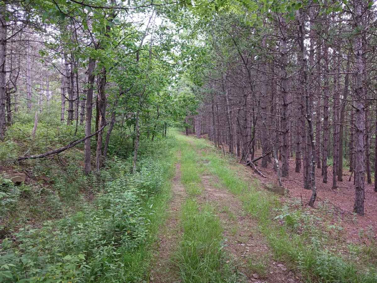 Trail 11G - Rock Run Recreation Area photo 3