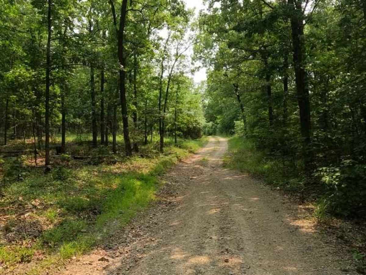 Cedar Bottom FSR 2159 photo 3
