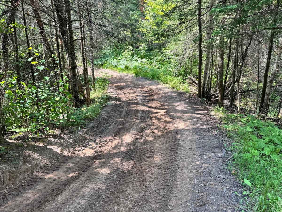 Eager Beaver Loop photo 2