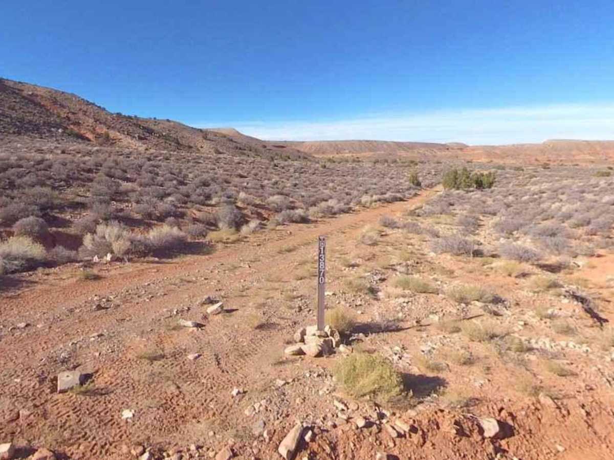 BLM13870 photo 2