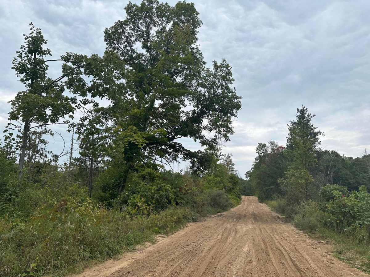 Allegan Sand Road-36th Street photo 2