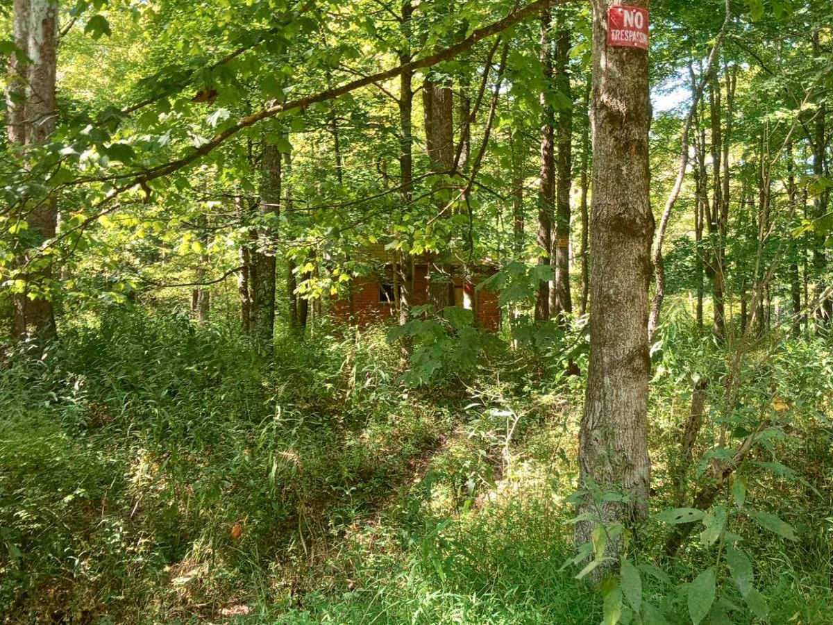 Cedar Run trail photo