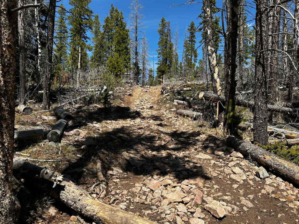 Pratt Creek Cutoff North photo 3