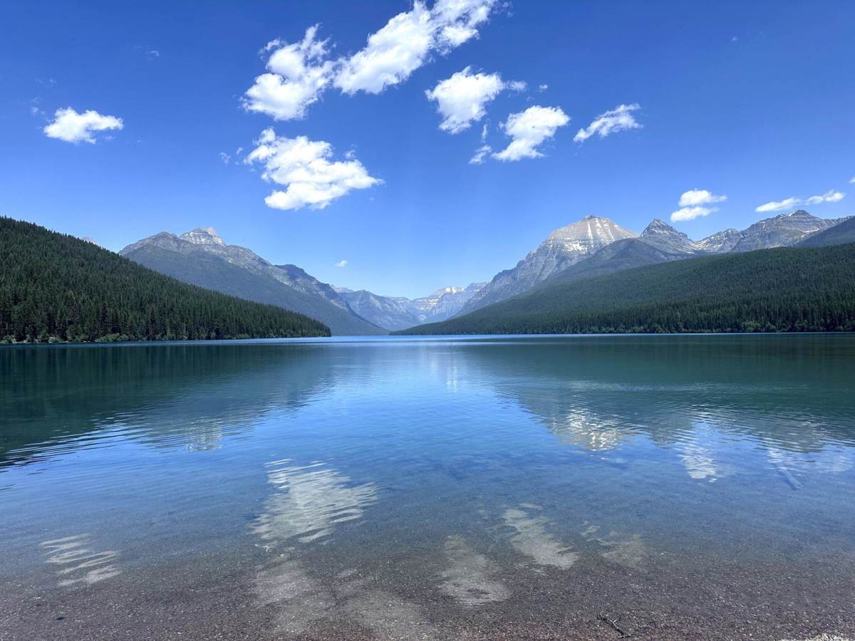 Bowman Lake Road trail photo