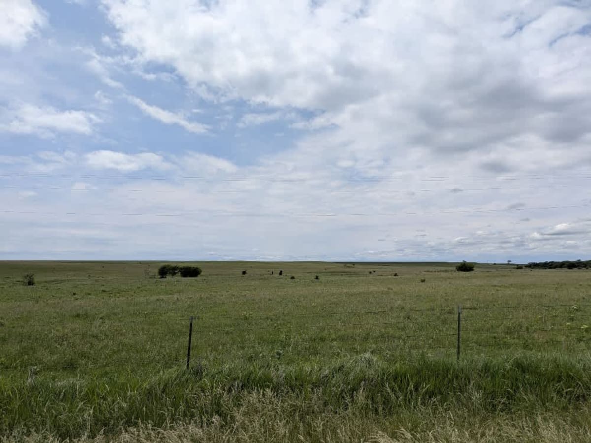 Southeast Ferrell photo 2