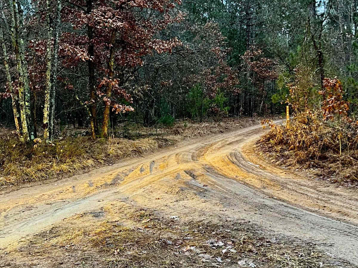 NFS 8962 (Access Road) photo 6