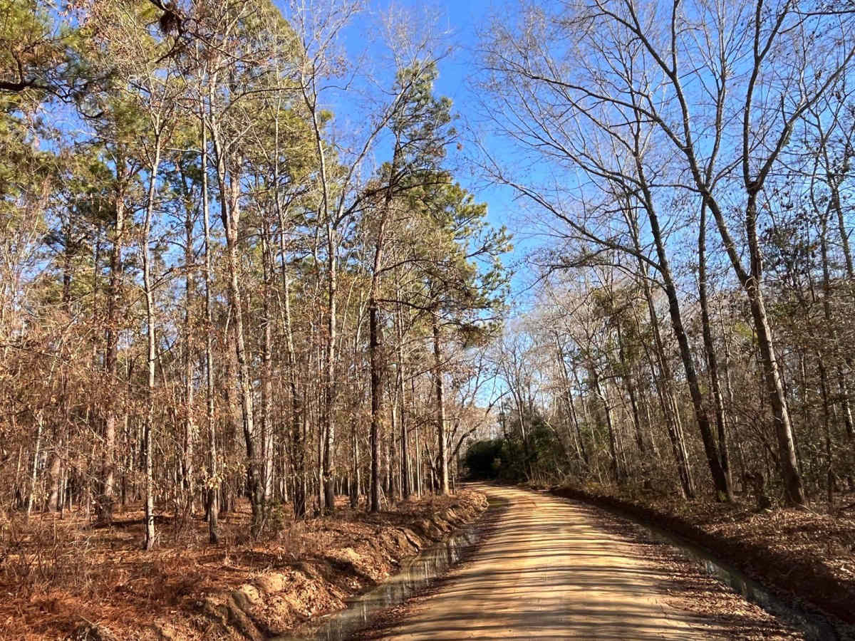 Fox Pond Road photo 2