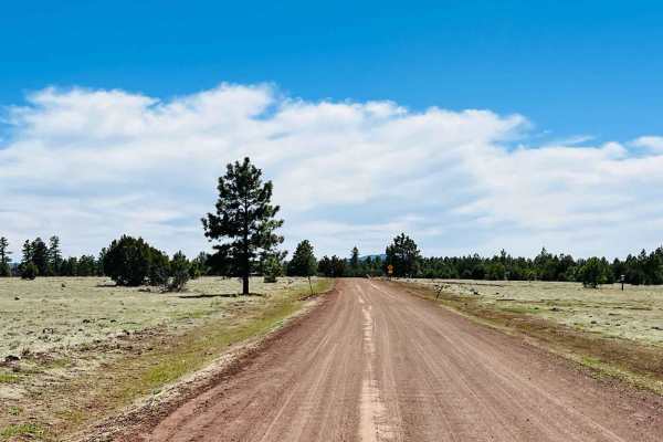 Clear Creek Pines Loop