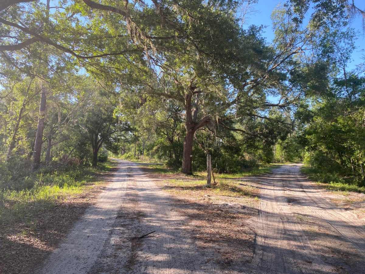 McKinney Sink Road photo 6
