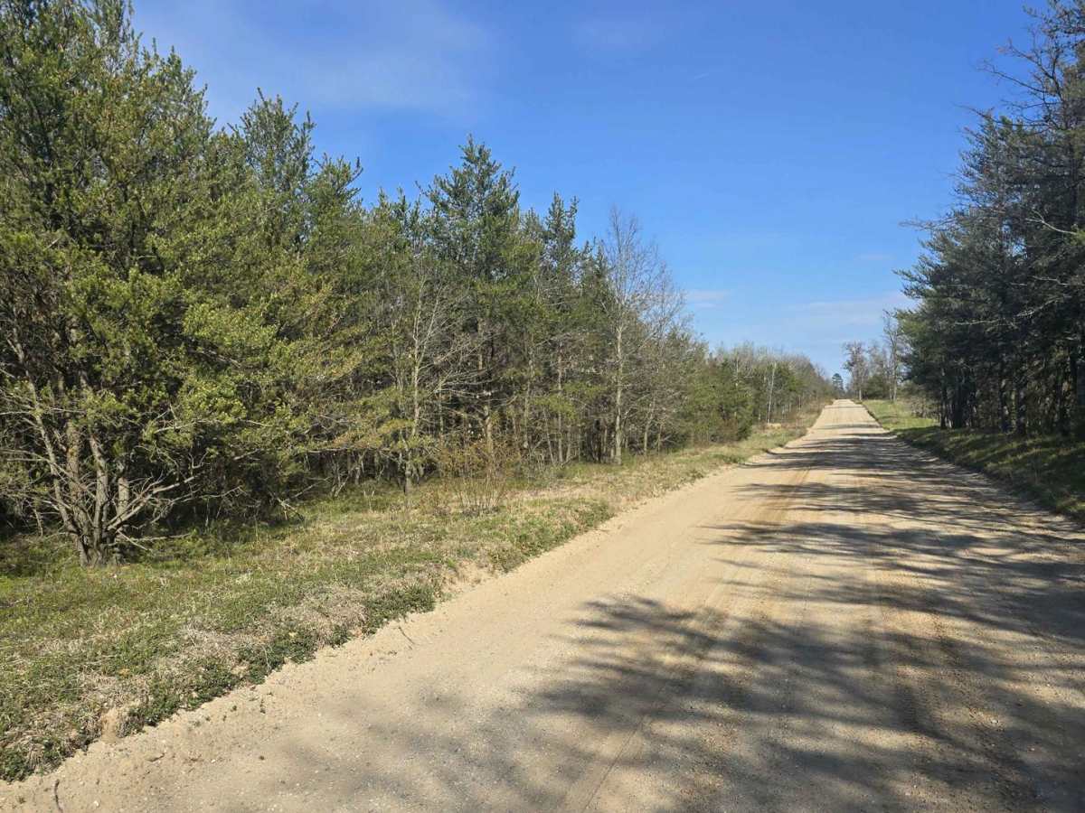 St. Helen Trail trail photo